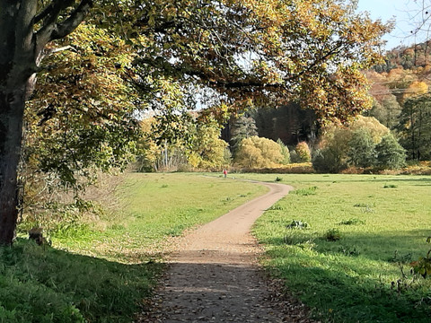 Wander- und Radweg von Grünau nach Wiesenburg